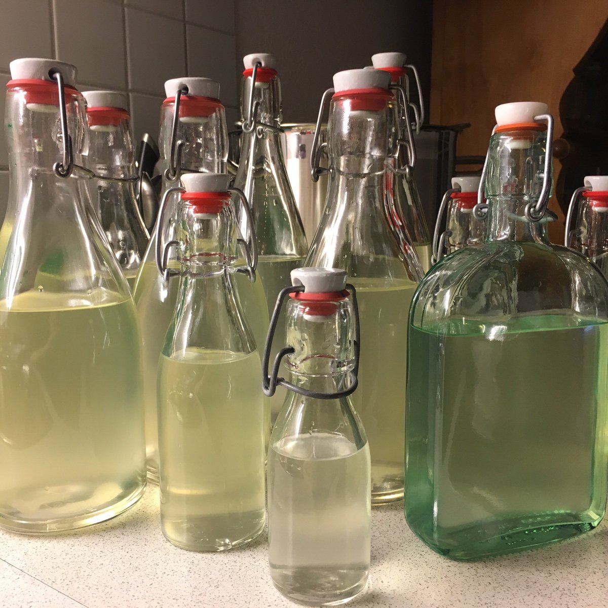 .@RahelRadisli Kein Sirup heuer. Dafür ist jetzt der Holunderblütensekt am gären <a href="/JustMe_HH/">Pat aka @PatSchreibt aka @PatsArt</a> <a href="/moninielsen/">Moni Nielsen</a> <a href="/omenzi/">Olivia Menzi</a>