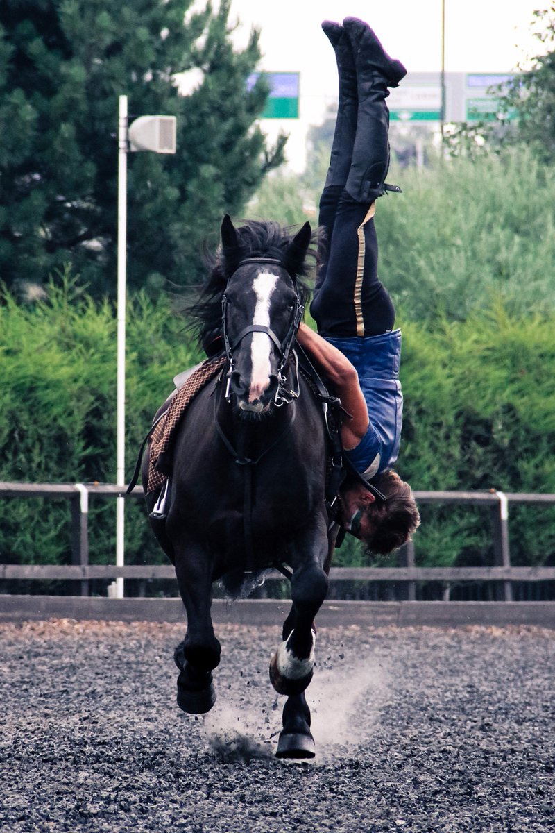 CheshireShow's tweet image. Announcing @TheActionHorses as the headline act of the @CreamlineDairy Main Ring Programme! royalcheshireshow.org/the-royal-ches…