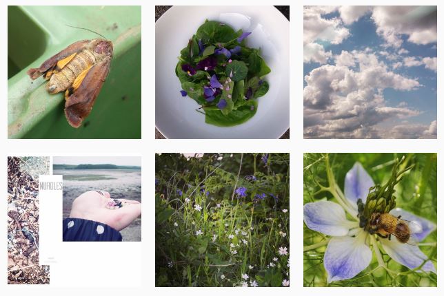 _beshlie's tweet photo. #30daysWild added to Insta instead. :) https://t.co/Z36p7CLpHu https://t.co/OVI2HggLrm