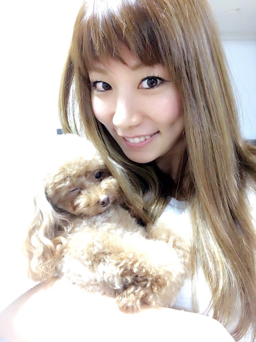 Uzivatel 青木愛 Ai Aoki Na Twitteru ウインクいただきました おやすみなさい