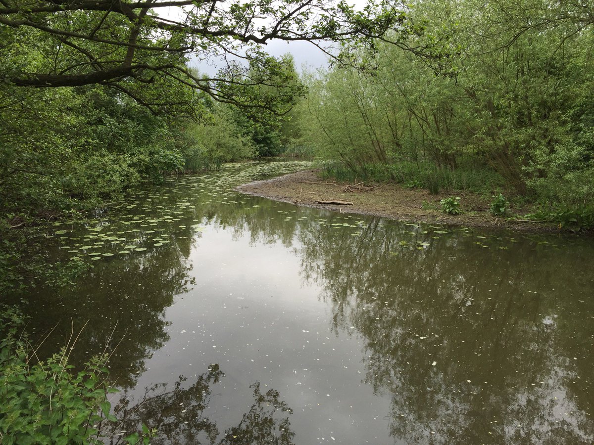 Site survey for a lake in Barnsley, hopefully Ebsford can help.