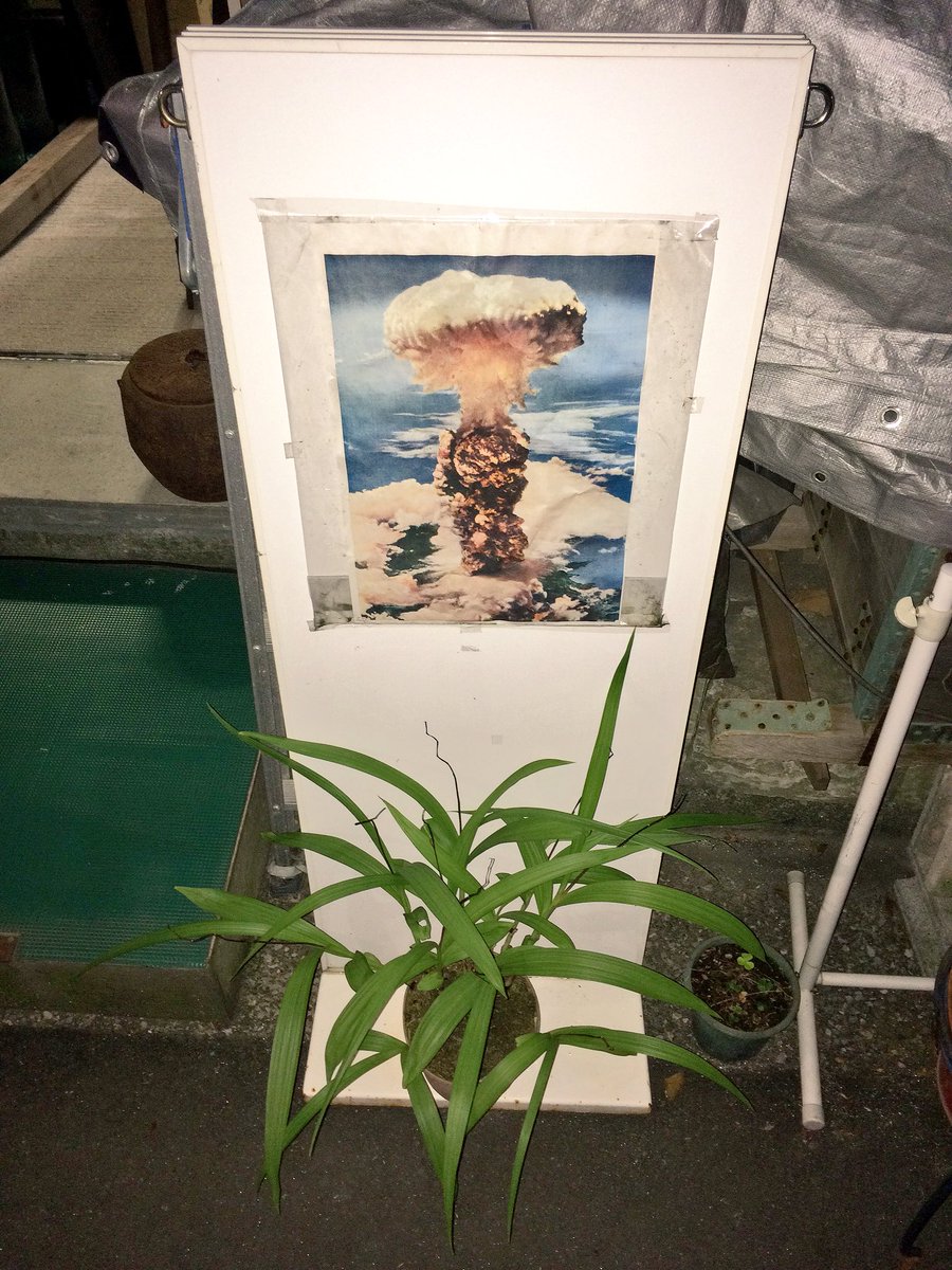 lie_'s tweet photo. 今日も空襲記念館に取材に。 https://t.co/rT6vAGR0BX