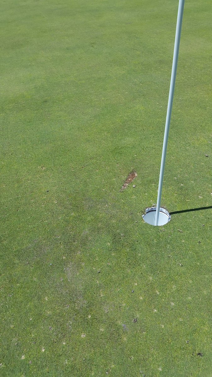 DavidKeen5's tweet photo. Not just @BlankneyGC then, at Almanara golf too. #reportthemplease https://t.co/hMndrogjCN