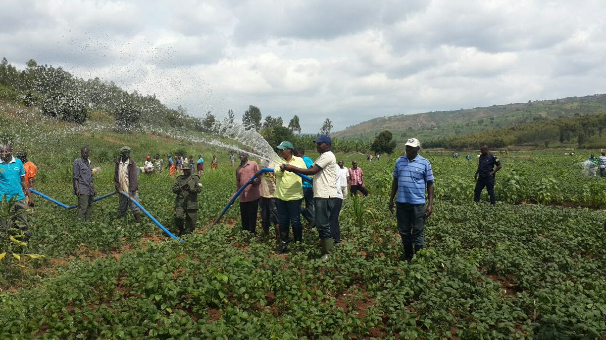Kanyamupira's tweet photo. 2day:Special #Umuganda 2boost #SmallScaleIrrigation in@NyagatareDistr @NGOMADISTRICT@GatsiboDistrict by @RwandaAgri https://t.co/1F3lKRrR2F