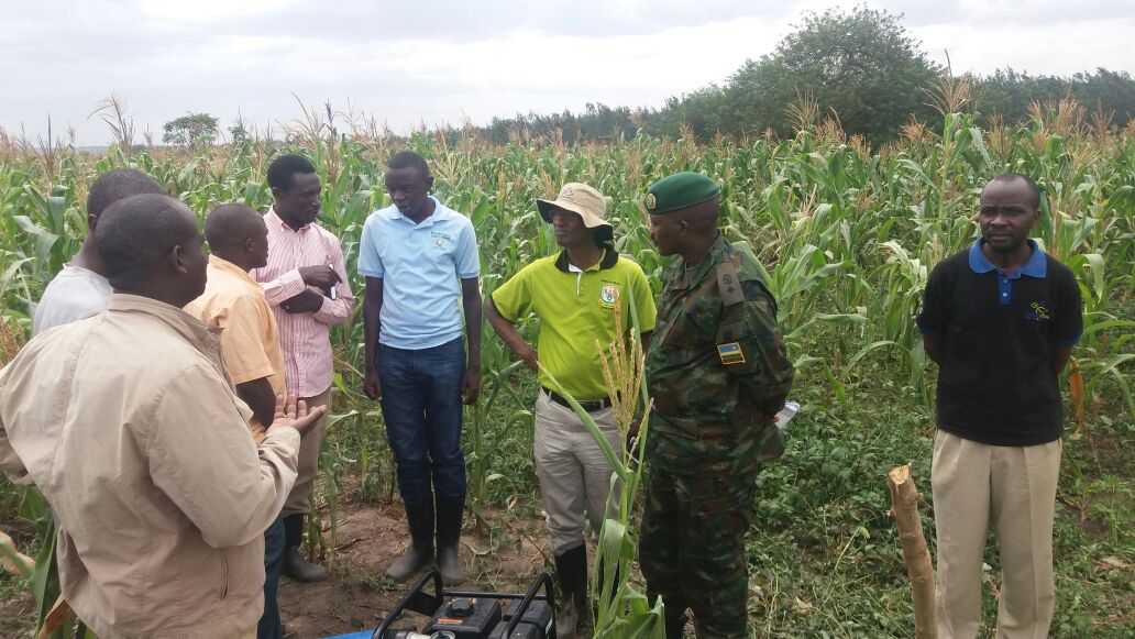 Kanyamupira's tweet photo. 2day:Special #Umuganda 2boost #SmallScaleIrrigation in@NyagatareDistr @NGOMADISTRICT@GatsiboDistrict by @RwandaAgri https://t.co/1F3lKRrR2F