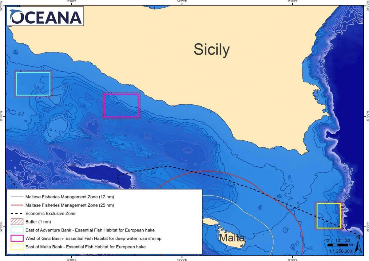 Great News! Mediterranean countries to close bottom trawling fishing to rebuild fish stocks bit.ly/1Um5k9W