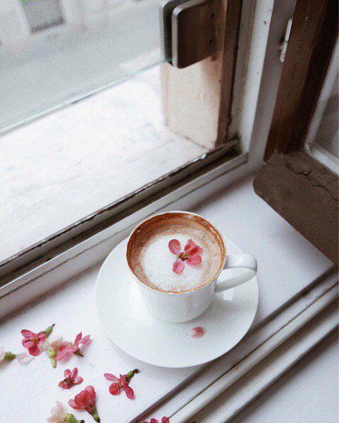 Tumblrx7's tweet image. إعصمني يا الله عن سفاهة القول وإهتزاز الفكر وفراغ العاطفة وقِلة الحيلة، أكرمني يا الله بإتزان العقل وإكتفاء الذات.🍂