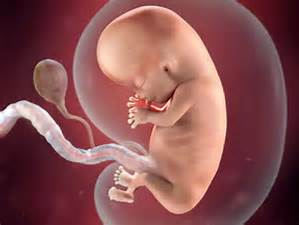 MandBonline's tweet photo. https://t.co/E1zeItKtCk what's your baby doing week 10 of your pregnancy #mbo https://t.co/eEymtxYckp