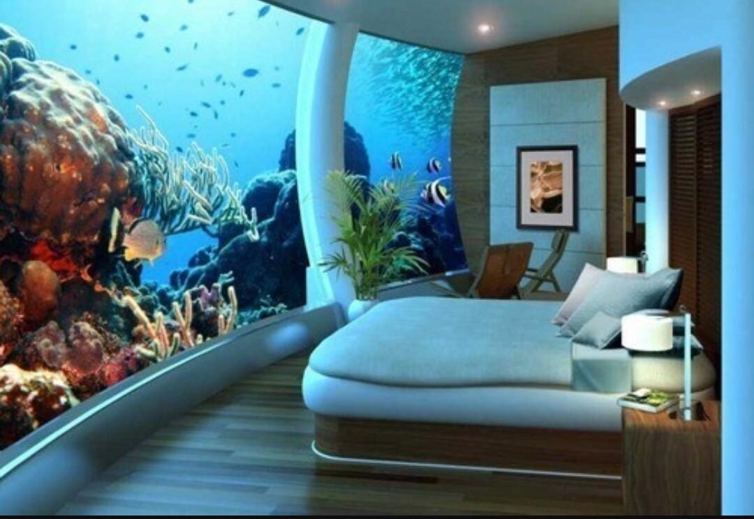 YoureHome4's tweet photo. Now This.. is a #RoomWithAView https://t.co/dp9KPz5xAF