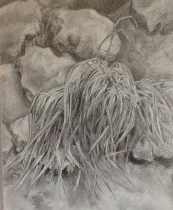 DudeDogBlog's tweet image. on being small… dudedogblog.net/vanity/