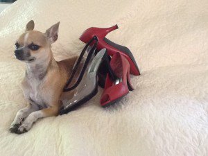 DudeDogBlog's tweet image. Shoes: I am thinking to make myself an expert on shoes.
dudedogblog.net/shoes/