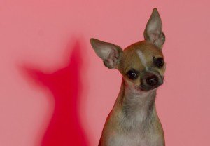 DudeDogBlog's tweet image. Time: Please don’t tell me that I am too young to think that time is passing too quickly... dudedogblog.net/time/