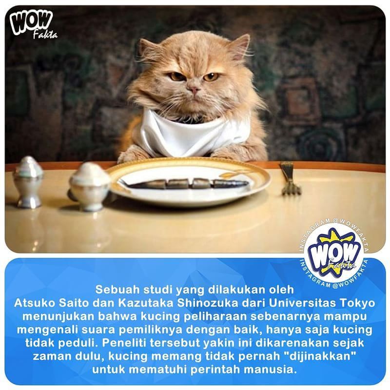 kontenwow's tweet photo. https://t.co/MMjoH6muY9 [#wowfakta] Faktagram hari ini #fakta #faktanya #mostpopular https://t.co/SUsNOeFljN