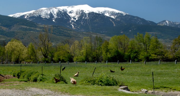 somrurals's tweet photo. Entreu i descobriu les noves cases rurals de #laCerdanya. https://t.co/XBQpr83CS3 https://t.co/sXeSyOVe3k
