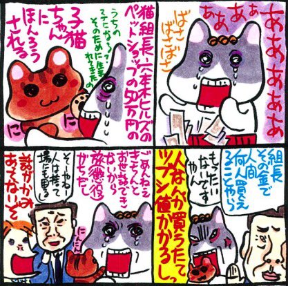 猫組長 No Twitter サンクス