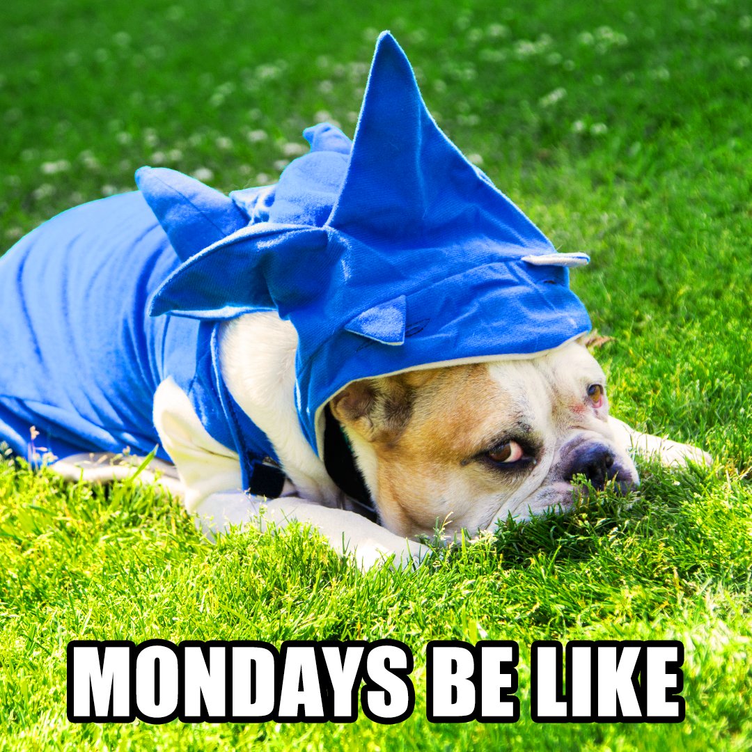 sonic_hedgehog's tweet image. When your weekend was all up and down and all around...