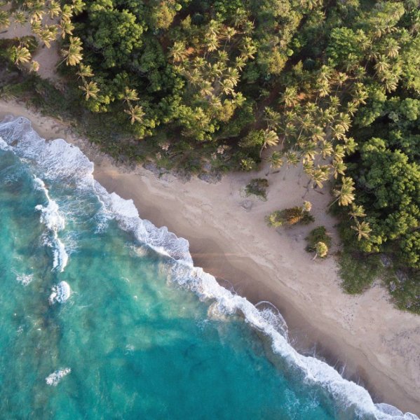 GoDomRep's tweet photo. Enjoying the peaceful morning on the shores of Playa Dorada!

📷christianannschaffer
📍Playa Dorada https://t.co/H3kLscwxdw