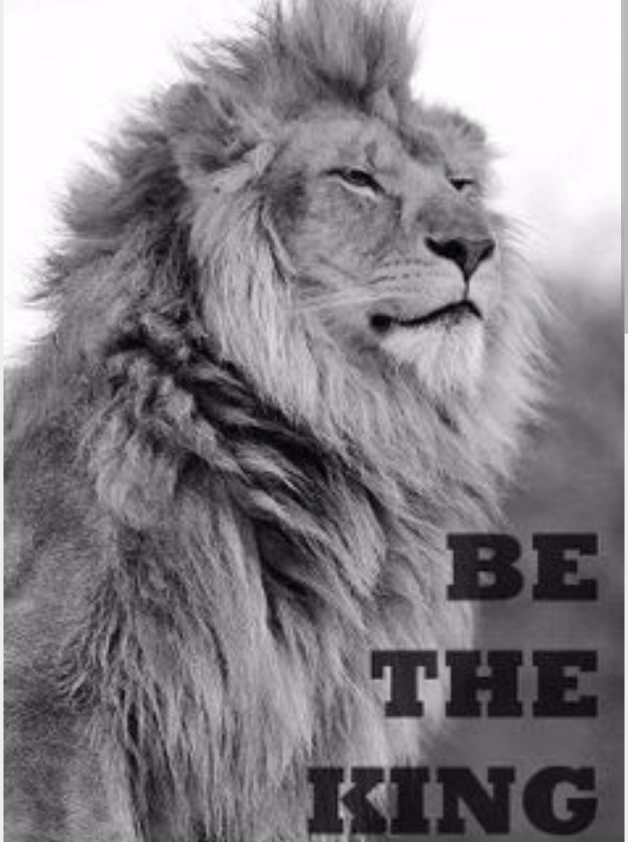 Make sure to attack today with an enthusiasm unknown to mankind #MONARCHNATION! #mondaywho #BeAKing