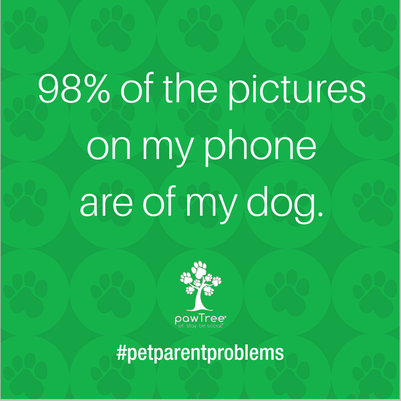 pawTree's tweet image. We've got 99 problems, but our dog ain't one! #PetAppreciationWeek #PetParentProblems