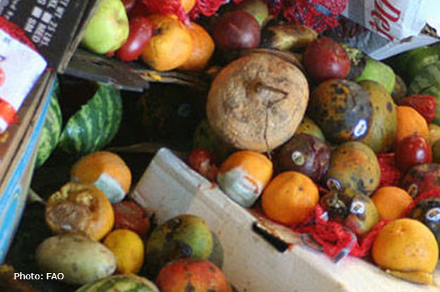UN_Radio's tweet photo. New protocol seeks to understand and monitor #foodloss and #foodwaste. https://t.co/8hlvrZXD44 https://t.co/TuuZRaZSz0