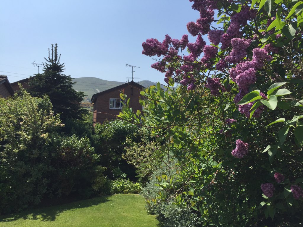 EverydayEdinbu1's tweet photo. #sunshine in #Scotland grab it while you can https://t.co/sLegMy2fp2