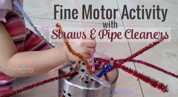 moniquebdesigns's tweet image. Fine Motor Activity with Straws - bit.ly/1mjex8R #homeschool #ihsnet