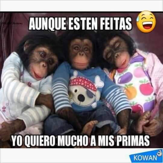 YoCreeoquee's tweet photo. Tod@s mis primas 😂😂 https://t.co/diFHvvCqP5