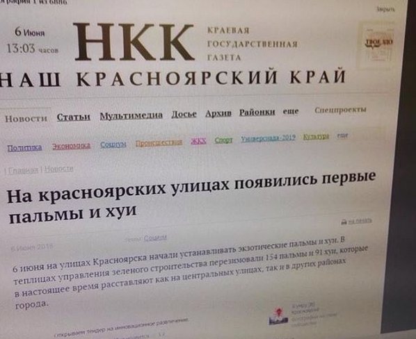 На красноярских улицах появились первые пальмы и... CkSSQu8WYAAfFFK