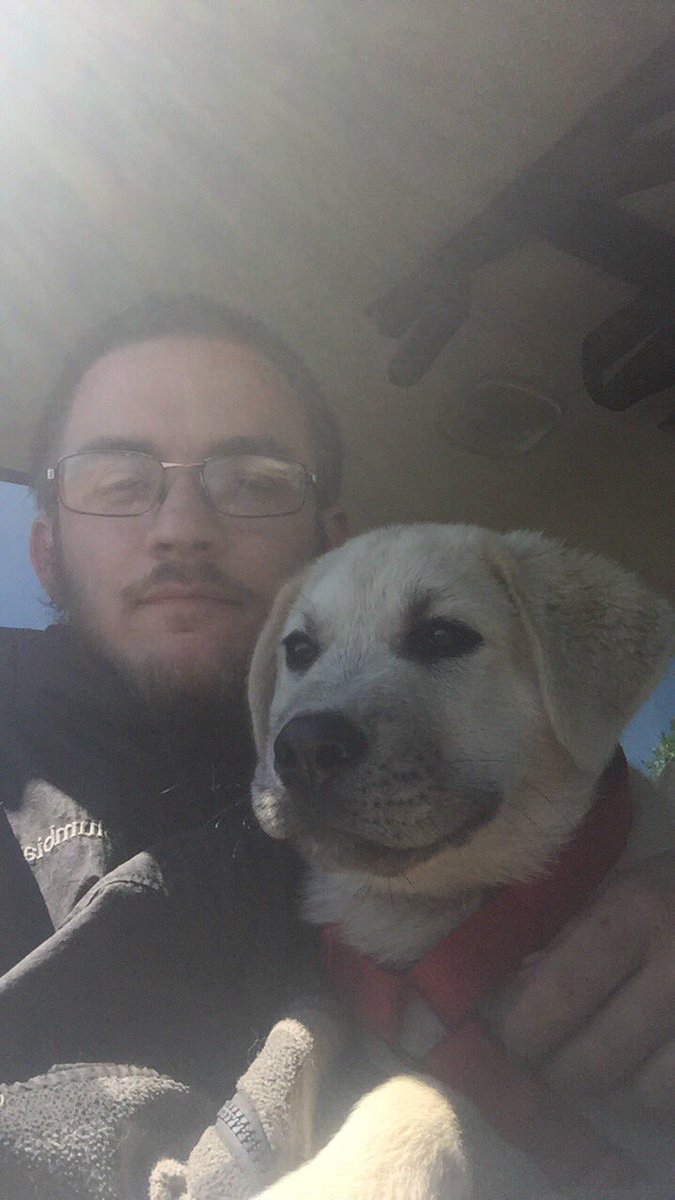 PlayGaming2010's tweet photo. I love my new puppy! Let's welcome him to the streaming family! https://t.co/LouSRCbVGt
