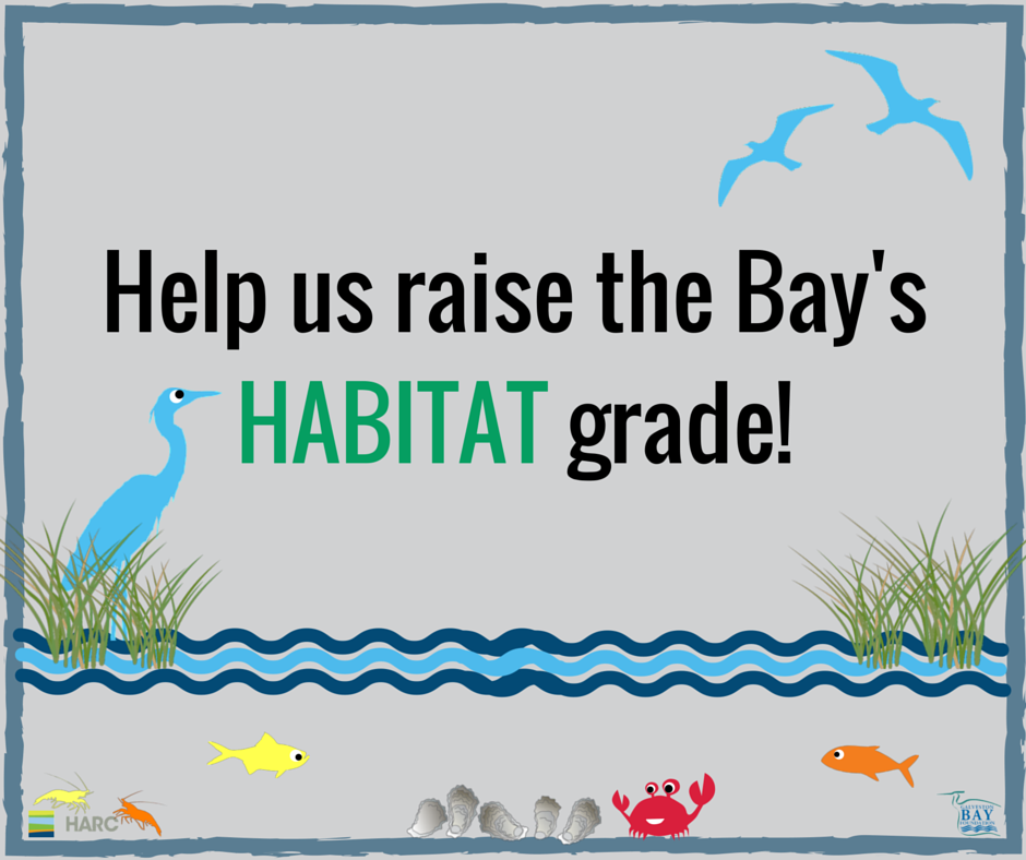 GBayFoundation's tweet photo. 3/4 of coastal habitats assessed for the #GalvestonBay Report Card are stressed! #LoveOurBay https://t.co/2lTp6iNyqH https://t.co/qfynZy8JAm