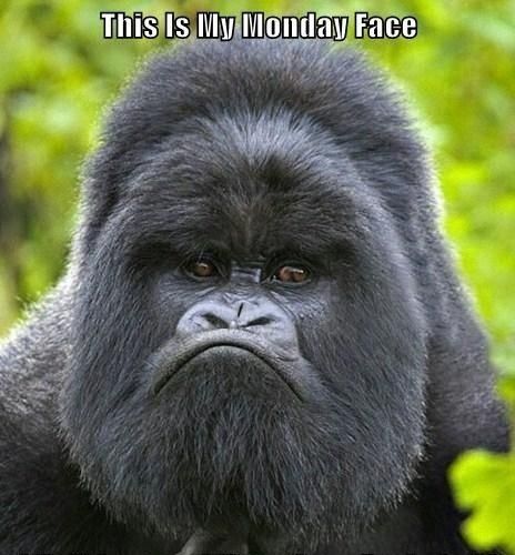 Yup. #mondays