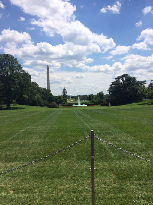 View image on Twitter