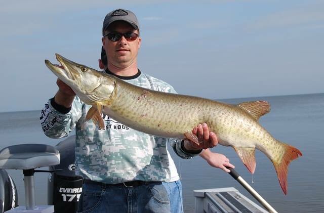 GBMusky's tweet photo. Green Bay Musky @StCroixRods @BerkleyFishing @Mirrocraft @Abu_Garcia #fullyinvolvedmuskyadventures #legendelite https://t.co/swbtRNQhNW