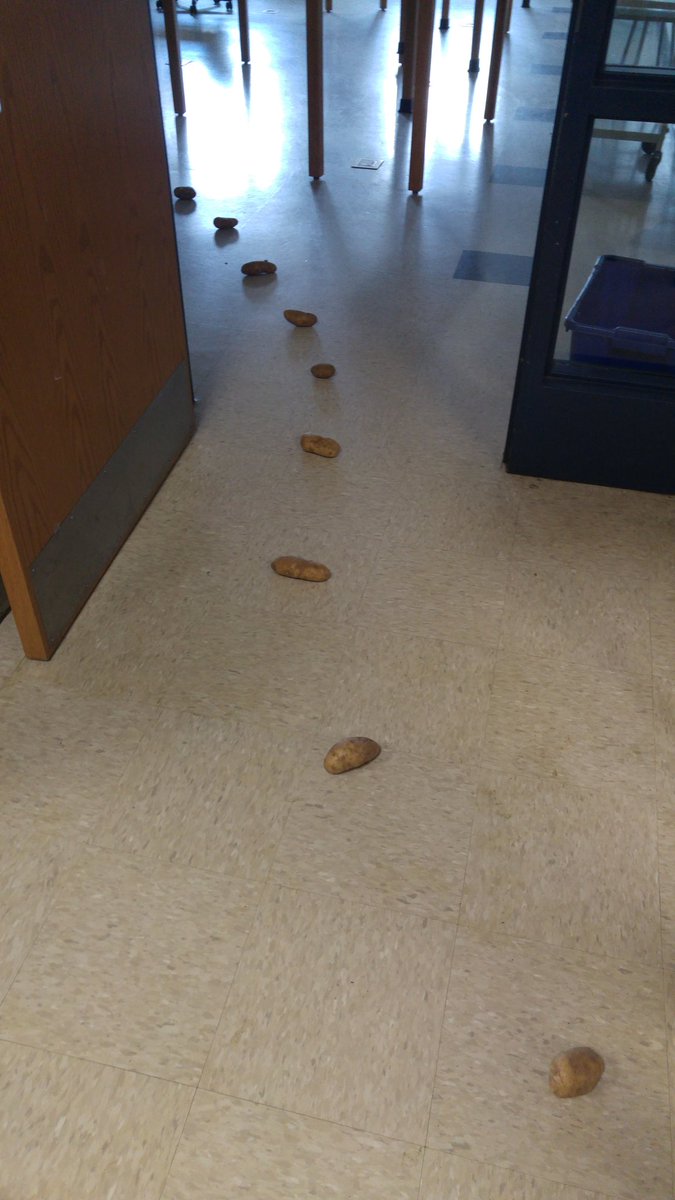 MsSlanker307's tweet photo. I work with the best and goofiest team of teachers! Thank you guys for being awesome!! #ILovePotatoes #FMS8B https://t.co/AzMDCqzxXu