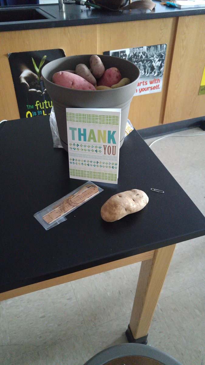 MsSlanker307's tweet photo. I work with the best and goofiest team of teachers! Thank you guys for being awesome!! #ILovePotatoes #FMS8B https://t.co/AzMDCqzxXu