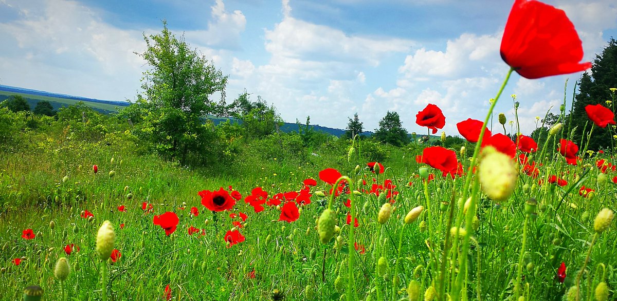 Gerçek bir keşif, 
Yeni yerler aramayı değil, 
Yeni gözlere sahip olmayı gerektirir...