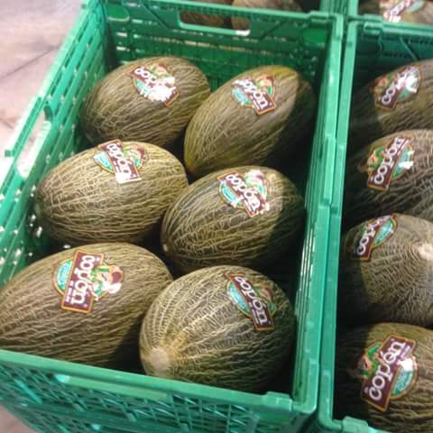 Meloncopon#villaconejos#salud#supermercados#hipermercados#fruta#mercados#