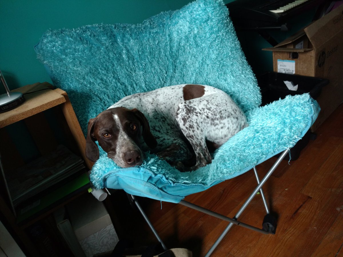 bldgenv's tweet photo. Bauer, says are you done working?  I wanna run https://t.co/ym0TJvgoUD