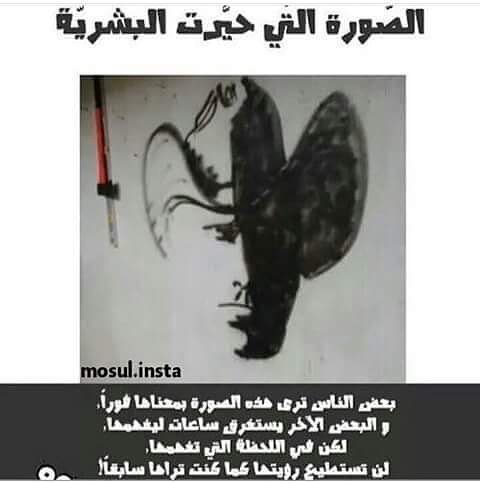 aboahmed0557303's tweet photo. https://t.co/bj3bdKZXwS