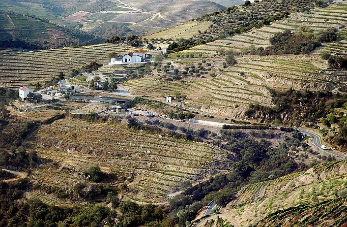 #winerave #teepee #dtla <a href="/LADesignFest/">LA Design Festival</a> <a href="/dublab/">dublab</a> <a href="/ParachuteMarket/">Parachute Market</a> <a href="/mastbrothers/">Mast Brothers</a> ladesignfestival.ticketmob.com/event.cfm?cart… <a href="/winerave/">WINERAVE</a>