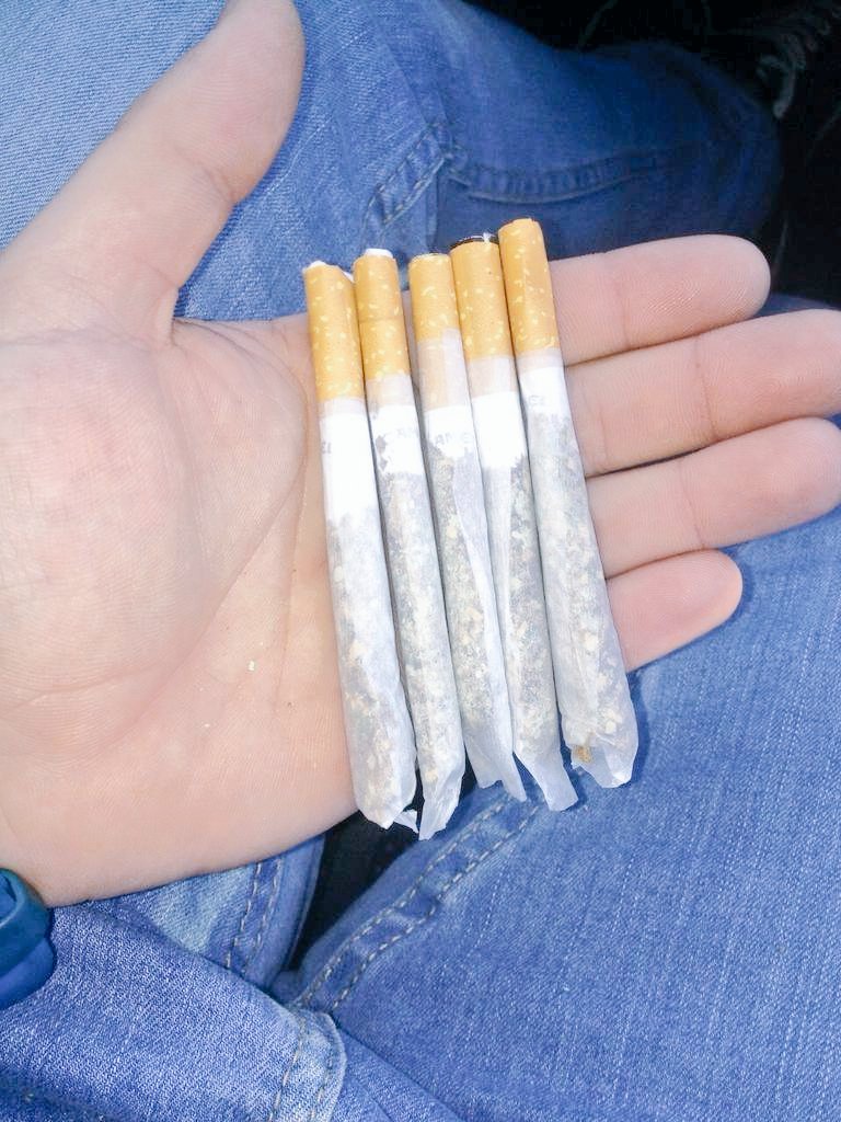Kunfupeta's tweet photo. Me dijeron choca los 5 y no quise ser maleducado...!! #HemosVuelto #CannabisLife #FamiliaKunfu https://t.co/jE9ftoZNnY