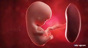 MandBonline's tweet photo. https://t.co/r79m5A0R8t What's your baby doing week 9 of pregnancy #mbo https://t.co/QpauhITORz