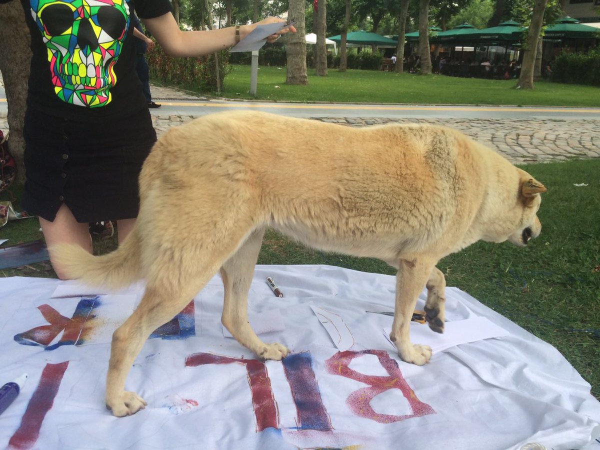 Bilgi Asistan Birliği dayanışma masamızda birinci günümüz böyle geçti 😃 #gün1 #eşitişeeşitücret <a href="/BiLGiOfficial/">İstanbul Bilgi Üniversitesi</a>