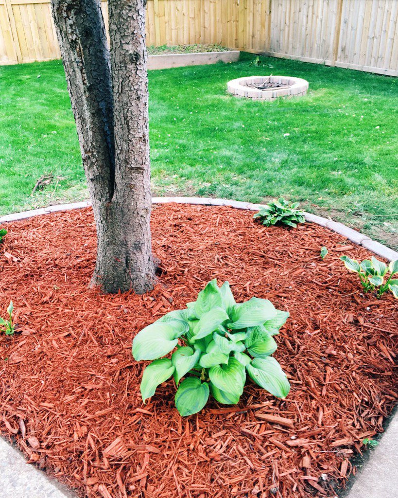 asketchyfish's tweet photo. house/garden project 831 β done! #bugtree https://t.co/i21gncnFFo