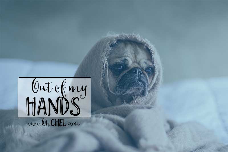 ohchelblog's tweet image. Dealing with a sick child is hard. Sis takes over buff.ly/1t1YvE0 #lboggers #blogtakeover