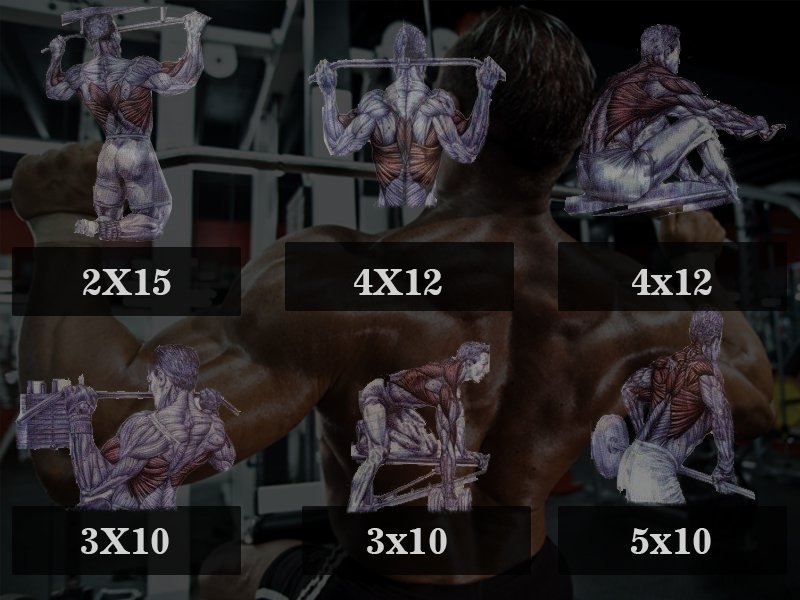 FitneszonaR's tweet photo. Workout of the day #gym  #fitnesschallenge  #fitnessroutine #backworkout https://t.co/9dxNx6OKv2