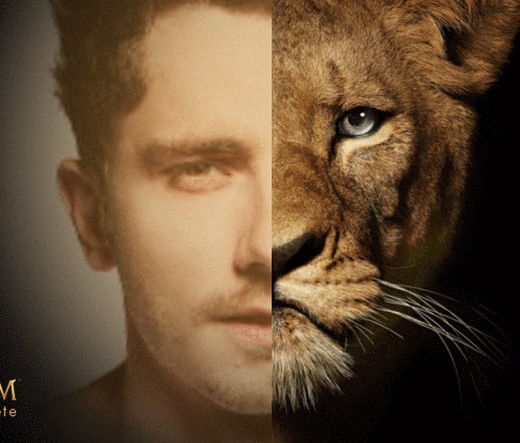 MissPleyer's tweet image. @guillaumepley #unlionchezguillaumesurnrj je remet ma photos que je trouve magnifique un vrai lion mon guillaume