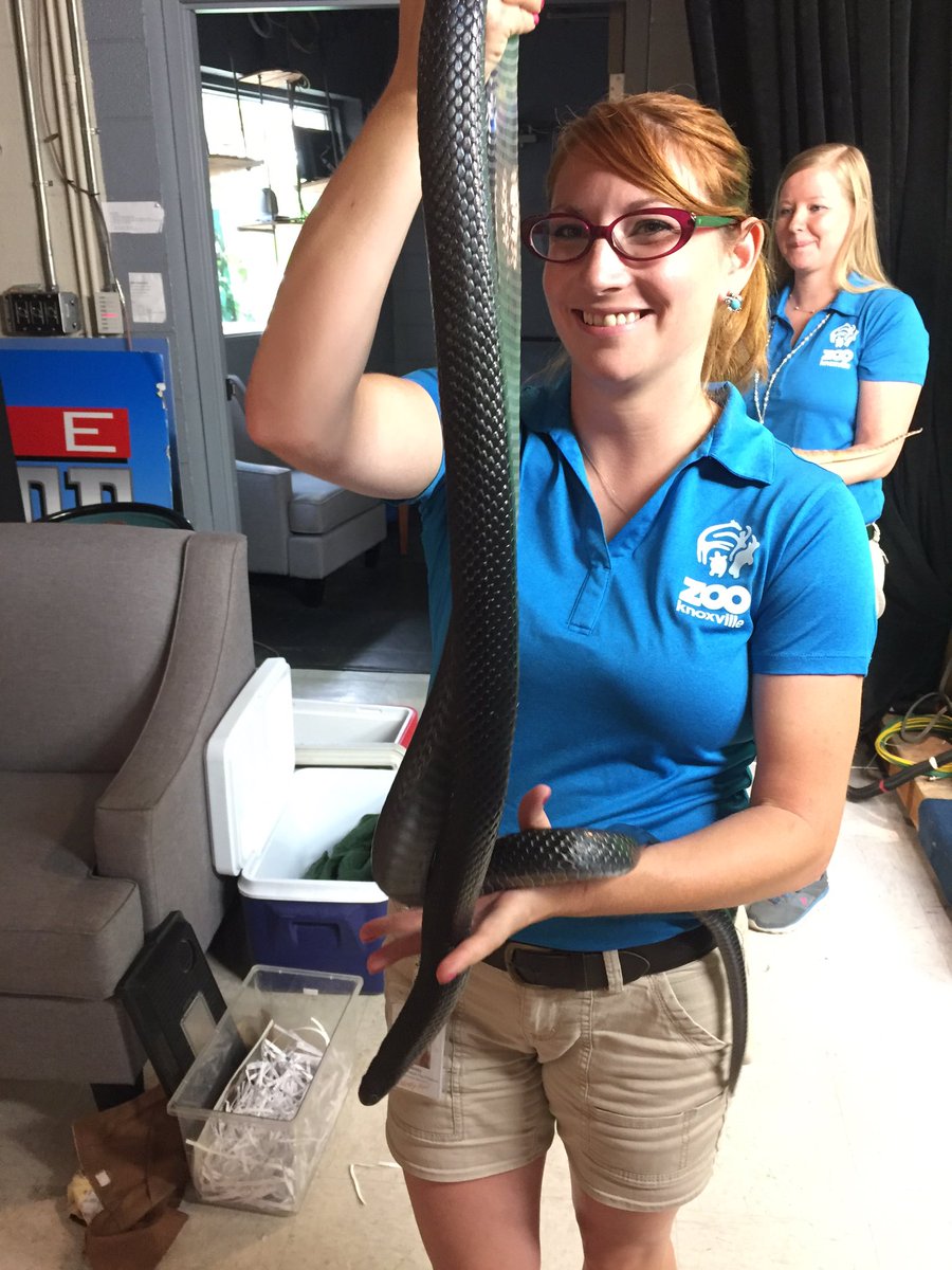 One of the <a href="/zooknoxville/">Zoo Knoxville</a> animals coming up on @Liveat5at4! #Kidforaday