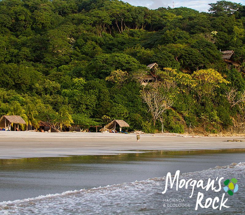 Come to the perfect place for your honeymoon. Romance and natural beauty are everywhere. Make it unforgettable!