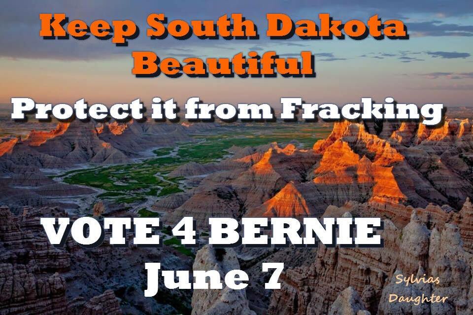 savemain_st's tweet photo. South Dakota, we cannot wait to welcome you to the revolution tomorrow! #SDprimary https://t.co/K0hEmdNJY8